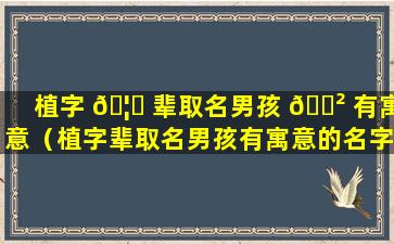 植字 🦟 辈取名男孩 🌲 有寓意（植字辈取名男孩有寓意的名字）